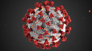 picture of coronavirus