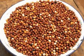 Pigeon pea, known as Fiofio, featured among indigenous Nigerian crops in Professor Chinelo Ezeocha's presentation