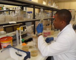 picture of Emeka Chibuike working in a lab