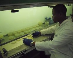picture of Emeka Chibuike in the lab
